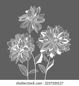 lace dahlias flowers and foliage. Vector illustration, bouquet.