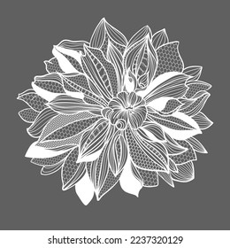 lace dahlias flowers and foliage. Vector illustration, bouquet.