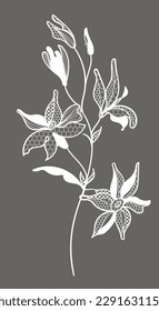 lace flower, bouquet, vector illustration