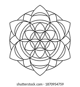 Lace flower of life circle vector mandala coloring book