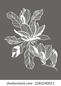 lace flower magnolia, bouquet, vector illustration