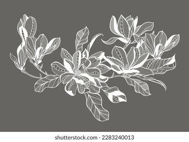 lace flower magnolia, bouquet, vector illustration