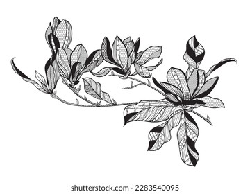 lace flower magnolia, bouquet, vector illustration