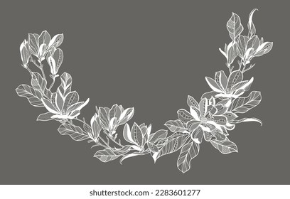 lace flower magnolia, bouquet, vector illustration