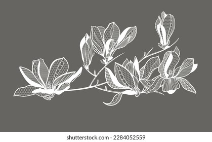 lace flower magnolia, bouquet, vector illustration