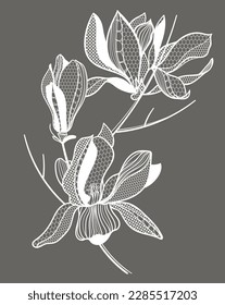 lace flower magnolia, bouquet, vector illustration