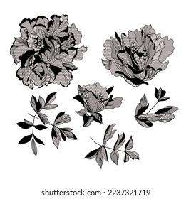 lace Peony flowers and foliage. Vector illustration, bouquet.