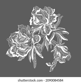 Lace pomegranate flowers. Vector illustration