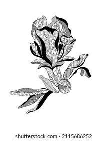 Lace pomegranate flowers. Vector illustration