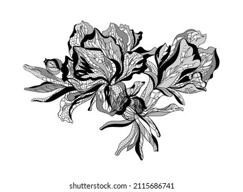 Lace pomegranate flowers. Vector illustration