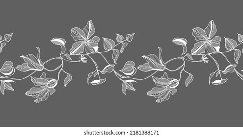 borde transparente, flores clematis, ilustración vectorial