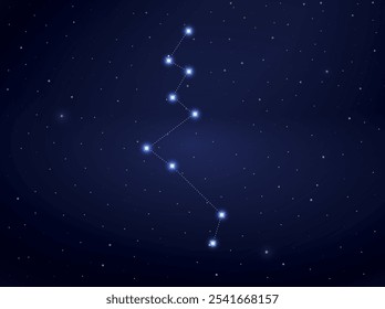 Lacerta constellation in night sky