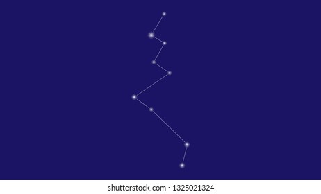 Lacerta constellation vector design