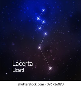 Lacerta (Lizard) constellation in the night starry sky. Vector illustration