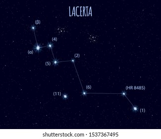 Lacerta (The Lizard) constellation, vector illustration with basic stars against the starry sky