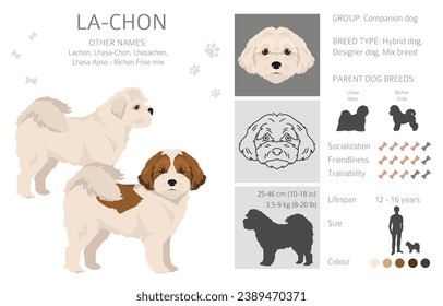 La-Chon clipart. Lhasa Apso Bichon Frise mix. Different coat colors set.  Vector illustration