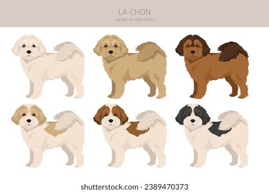 La-Chon clipart. Lhasa Apso Bichon Frise mix. Different coat colors set.  Vector illustration