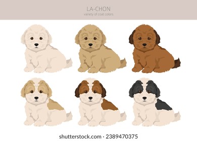 La-Chon clipart. Lhasa Apso Bichon Frise mix. Different coat colors set.  Vector illustration