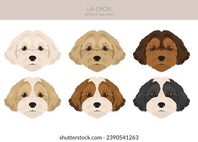 La-Chon clipart. Lhasa Apso Bichon Frise mix. Different coat colors set.  Vector illustration