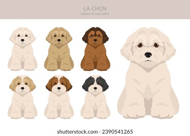 La-Chon clipart. Lhasa Apso Bichon Frise mix. Different coat colors set.  Vector illustration