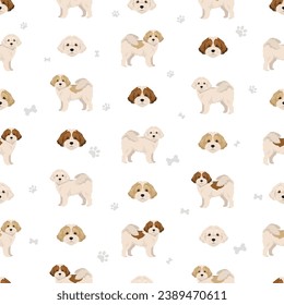 La-Chon seamless pattern. Lhasa Apso Bichon Frise mix. Different coat colors set.  Vector illustration