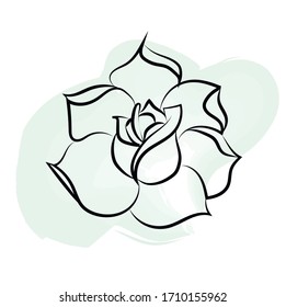 Laconic pattern in the shape of a rose.