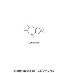 Lactarane skeletal structure.Sesquiterpene compound schematic illustration. Simple diagram, chemical structure.