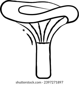 Lactarius deliciosus hand drawn vector illustration