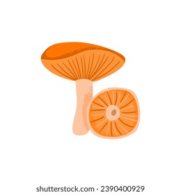 Lactarius mushroom. Inedible fungus. Vector cartoon illustration with texture isolated on the white background.