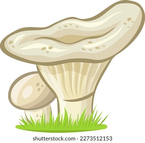 Lactarius mushroom or milk cap vector illustration without background  