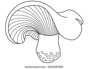 Lactarius resimus, forest edible mushroom - vector linear picture for coloring book, sign or logo. Outline. Mushroom with fancy hat for coloring book or pictogram