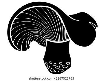 Lactarius Resimus, forest edible mushroom is a vector silhouette picture for a sign or logo. Mushroom with a bizarre hat icon or icon