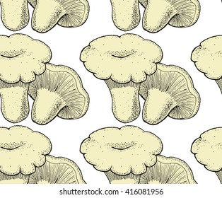 lactarius resimus pattern
