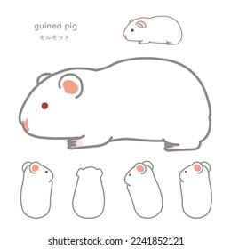 Lactating guinea pig Individual Version