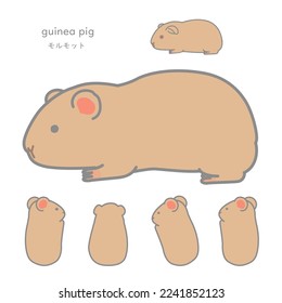 Lactating guinea pig Individual Version