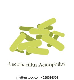 Lactobacillus Acidophilus Vector Illustration. Good Bacteria Microorganism Isolated On White Background.