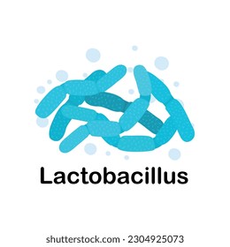 Lactobacillus.Microorganisms. Medicine and health. Cartoon. Microbiota. Microbiome. Vector stock illustration. Isolated.Bacteria in the body. Probiotics