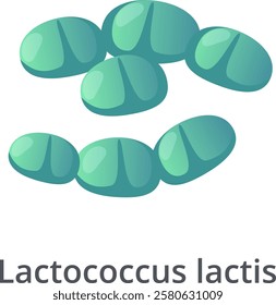 Lactococcus lactis bacteria forming a chain and a cluster, probiotic bacterium, lactic acid bacterium, isolated on white background, 3d rendering