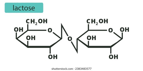 Lactose. Chemical formula. Vector illustration