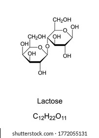 Lactose, milk sugar, chemical structure. A disaccharide composed of the two monosaccharides galactose and glucose. Found in dairy products. Lactose composes up to 8 percent of milk by weight. Vector. svg