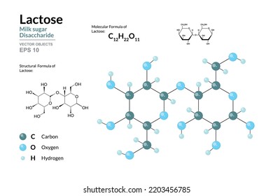 Lactose. Milk Sugar. Disaccharide. Structural Chemical Formula and Molecule 3d Model. C12H22O11. Atoms with Color Coding. Vector Illustration  svg