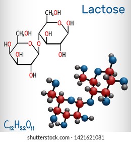 Lactose, milk sugar molecule, it is a disaccharide. Structural chemical formula and molecule model. Vector illustration