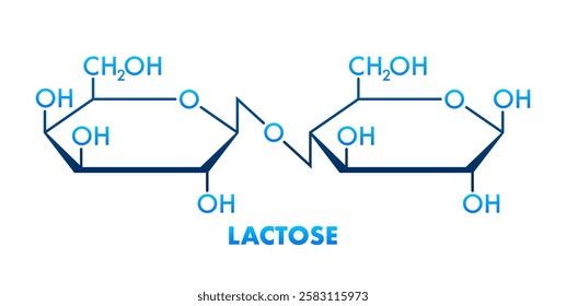 Lactose molecule structure consisting of galactose and glucose forming milk sugar