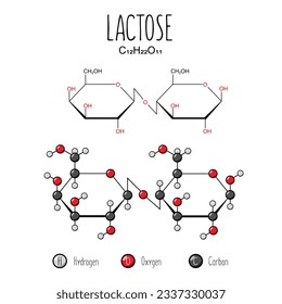 Lactose representation. Skeletal formula and 2d structure illustration. Web style illustration. Vector editable