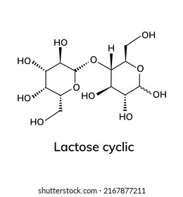 Lactose Structural Chemical Formula On Wite Stock Vector (Royalty Free ...