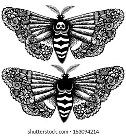  Lacy death's-head moth. Abstract hand drawn vector illustration. 