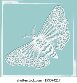  Lacy death's-head moth. Abstract hand drawn vector illustration. 