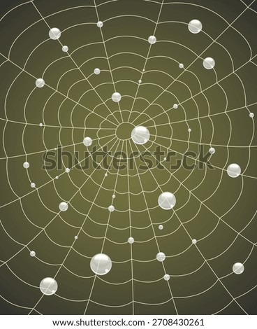 Lacy spider web with water droplets on green background. Vector illustration