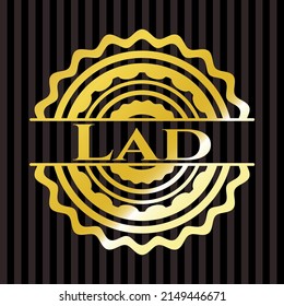 Lad shiny badge. Vector Illustration. Detailed. 