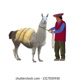 Laden lama with a farmer. Vector illustration isolated on white background